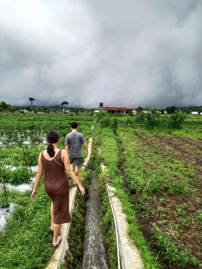 Family rinjani bungalow Sajang Bagian luar foto