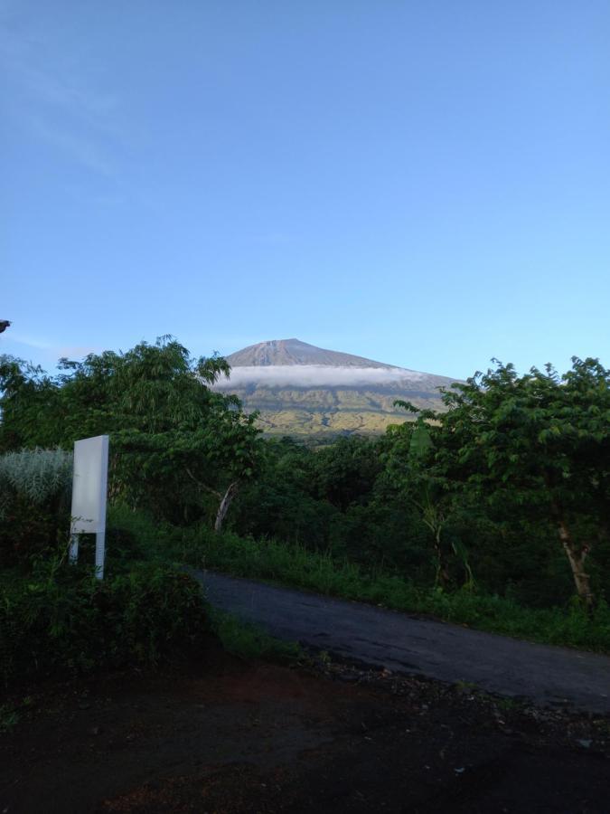 Family rinjani bungalow Sajang Bagian luar foto