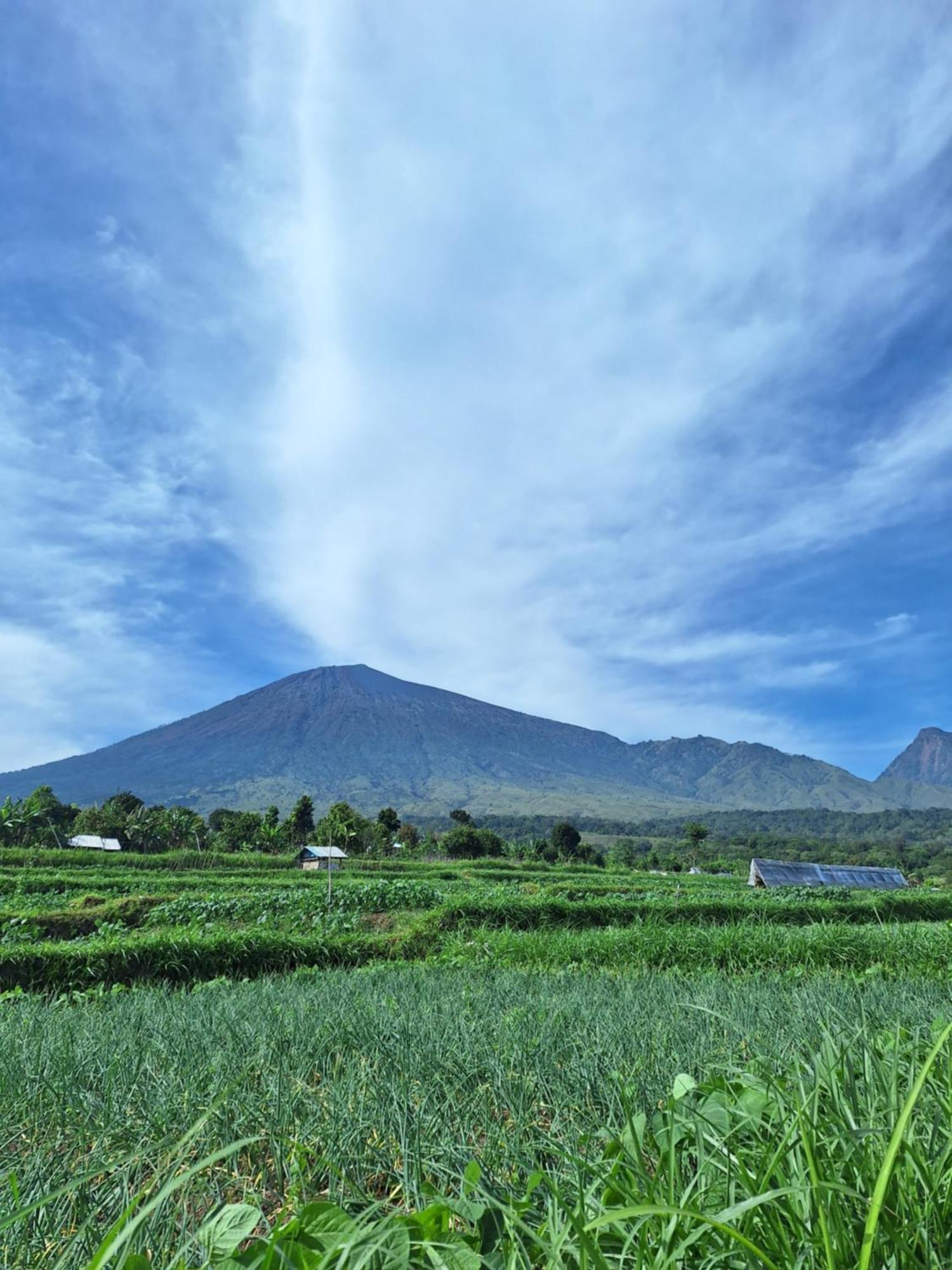 Family rinjani bungalow Sajang Bagian luar foto